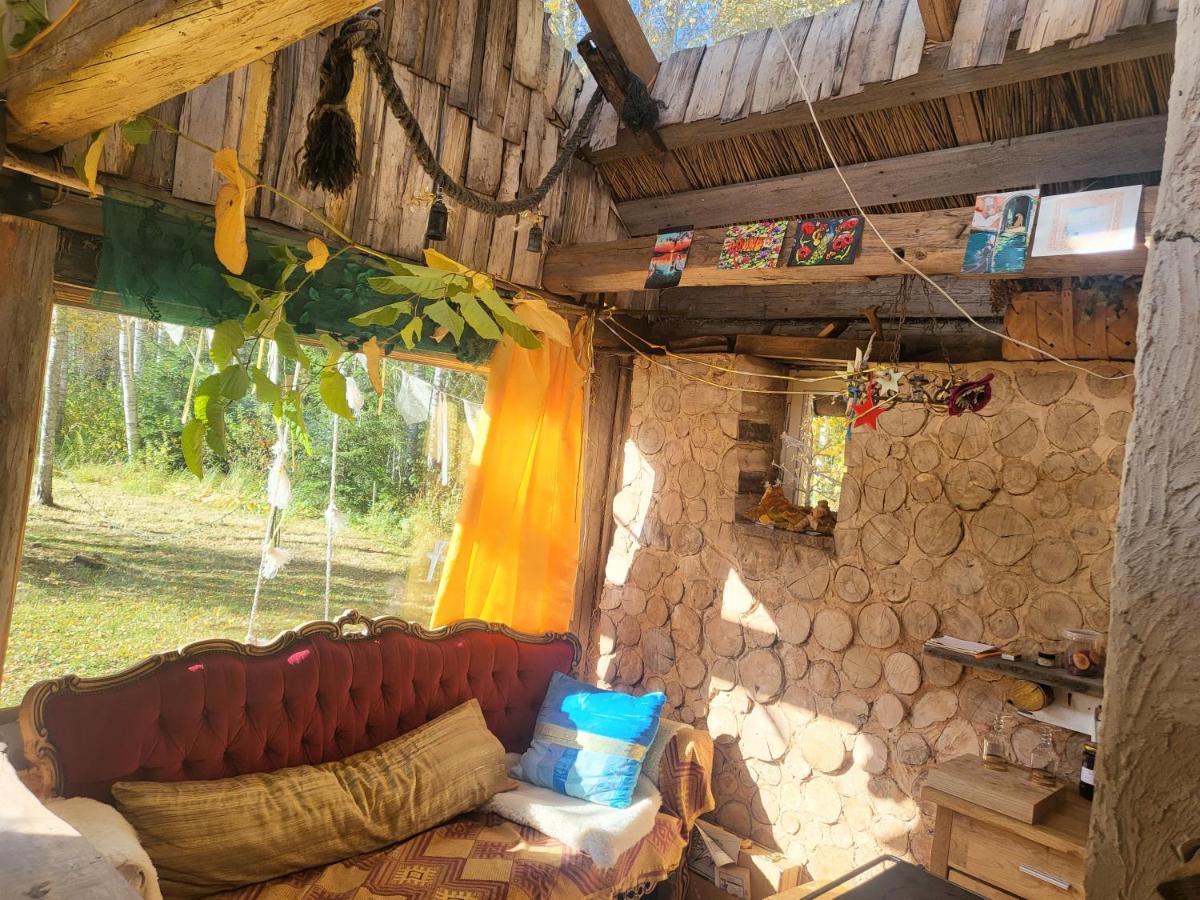 Villa Baltas Raganinas Pirts à Sabile Extérieur photo