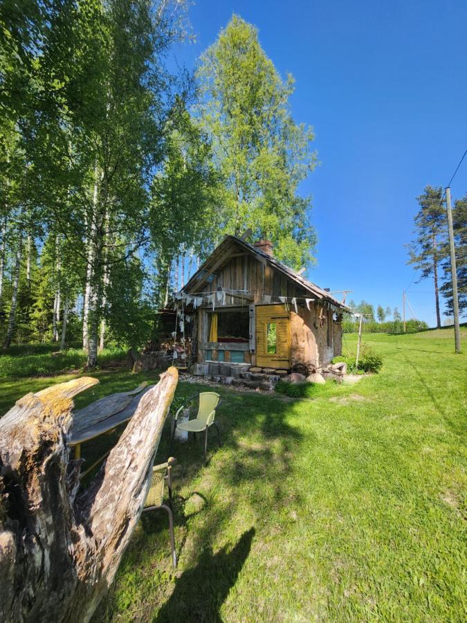 Villa Baltas Raganinas Pirts à Sabile Extérieur photo